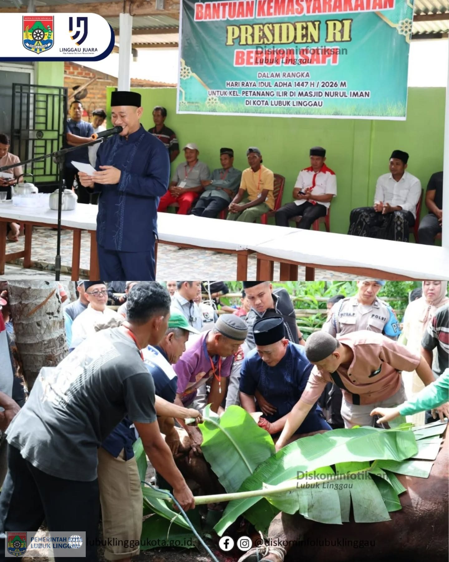 Wali Kota Lubuk Linggau Serahkan Bantuan Sapi Kurban Presiden RI
